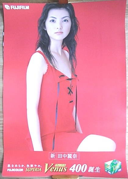 田中麗奈のポスター